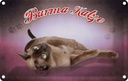 Blechschild 20x30 cm Katze Burma Tier Haustier