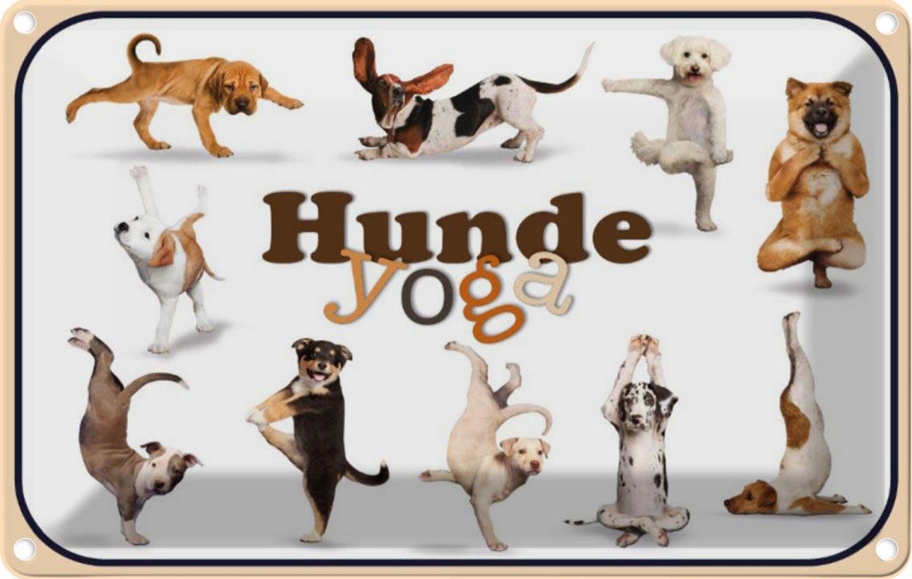 [LA-113791-2030] Blechschild 20x30 cm Katze Hunde Yoga Tier Haustier