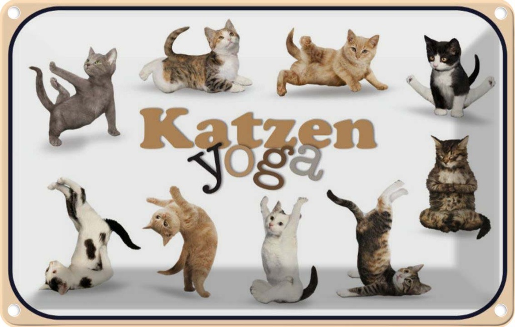 [LA-113793-2030] Blechschild 20x30 cm Katze Katzen Yoga Tier Haustier