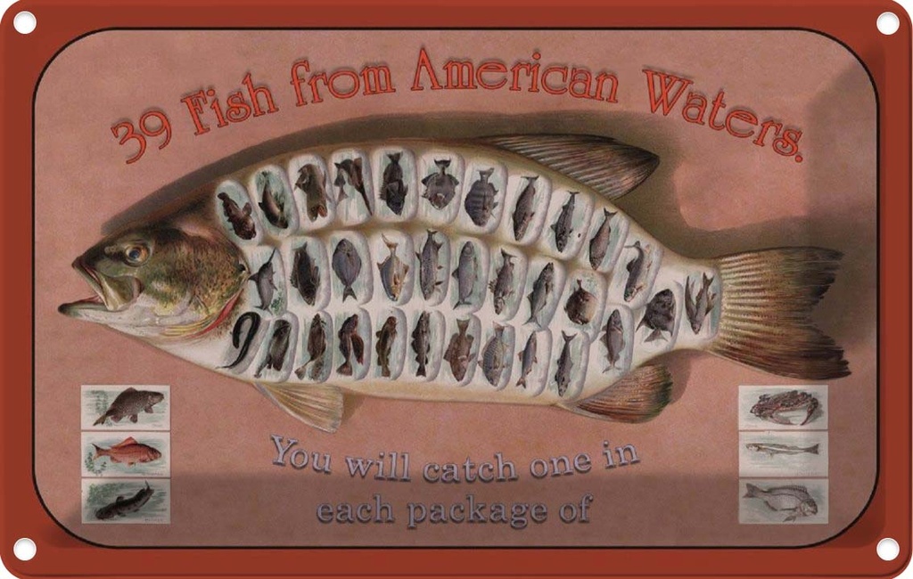 [LA-113794-2030] Blechschild 20x30 cm Fisch 39 Fish from american Waters Warnschild Hinweisschild Sicherheit Vorsicht