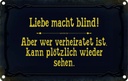 Blechschild 20x30 cm Liebe macht blind aber wer Dekoration