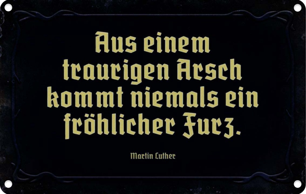 [LA-113964-2030] Blechschild 20x30 cm aus einem traurigen Arsch kommt Spruch Zitat