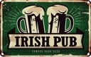 Blechschild 20x30 cm Irish Pub famous dark beer Bier Essen Trinken