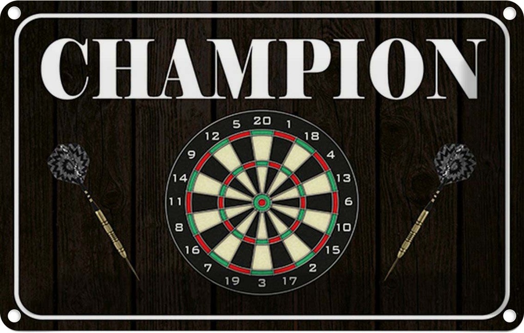 [LA-114486-2030] Blechschild 20x30 cm Darts Champion Sport Hobby