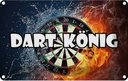 Blechschild 20x30 cm Darts Dart König Sport Hobby