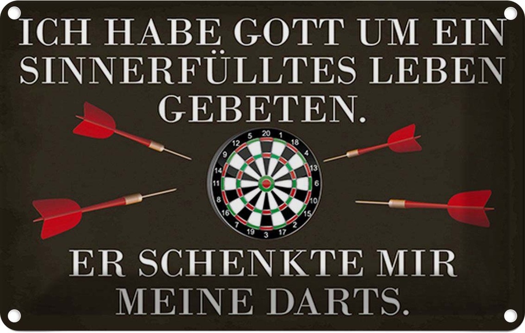 [LA-114918-2030] Blechschild 20x30 cm Gott schenkte mir meine Darts Sport Hobby Spruch Zitat