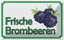 Blechschild 12x18 cm frische Brombeeren Hofladen Marktstand Laden Obst Gemüse