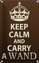 Blechschild 18x12 cm Keep Calm and carry a wand Yoga