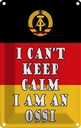 Blechschild 18x12 cm i cant Yoga keep calm am an ossi