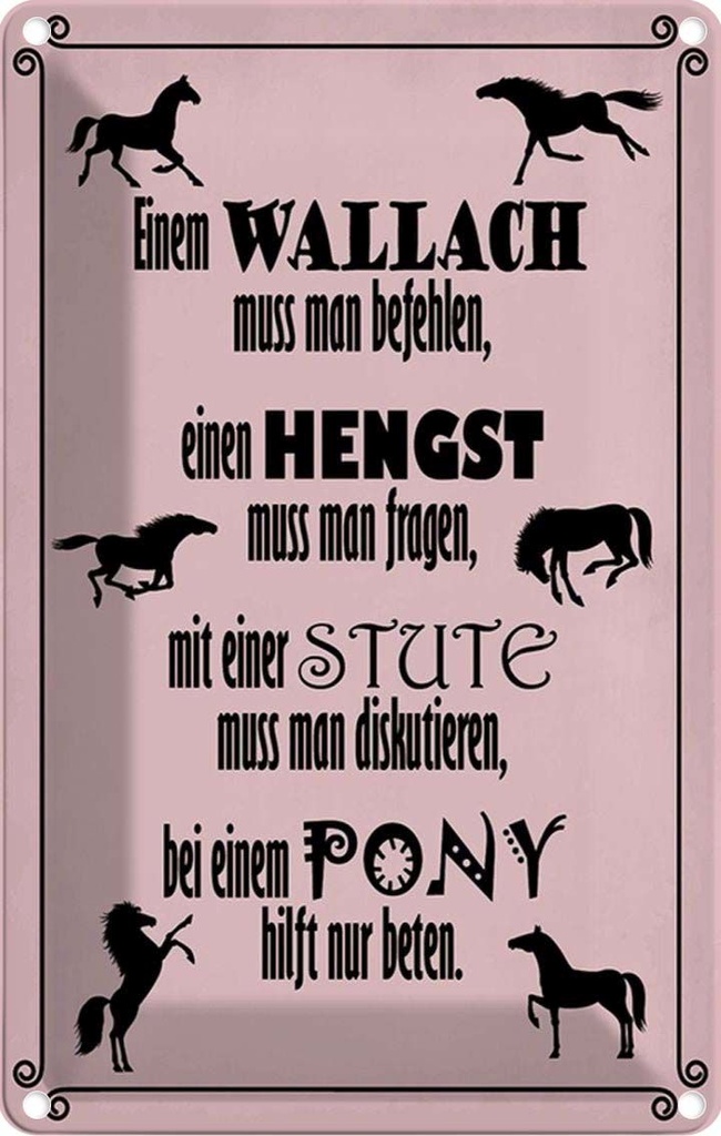 [LA-115180-1812] Blechschild 18x12 cm Pferde Wallah Hengst Pony Stute Tier Haustier Pferd
