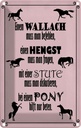 Blechschild 18x12 cm Pferde Wallah Hengst Pony Stute Tier Haustier Pferd