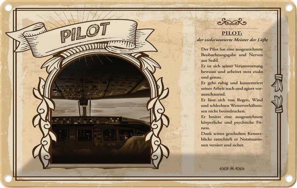 [LA-123074-1812] Blechschild 12x18 cm Pilot Beruf Arbeit