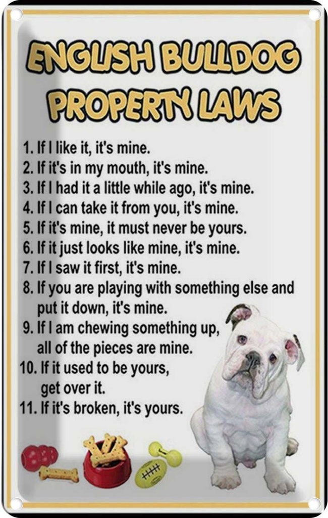 Blechschild 18x12 cm english bulldog property laws