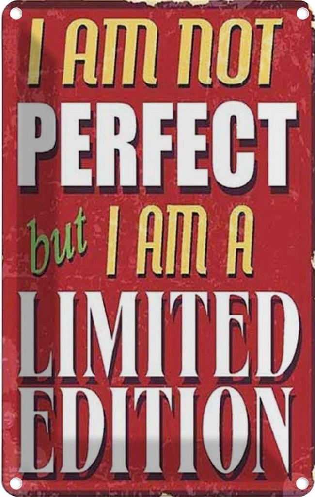 Blechschild 18x12 cm i am not perfect limited edition