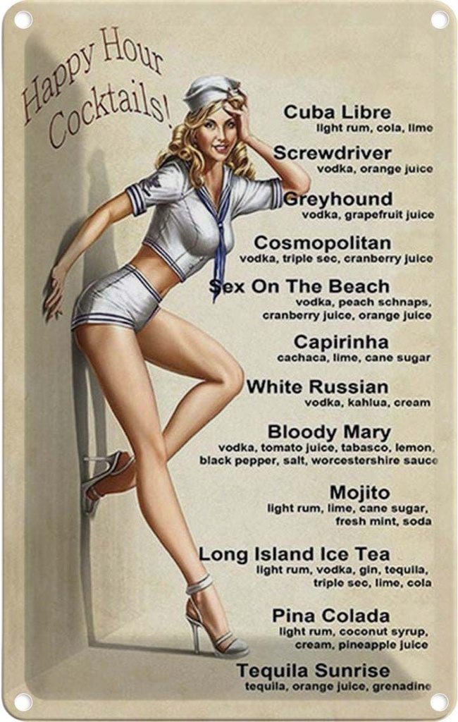 Blechschild 18x12 cm Pin Up Happy Hour Cocktails Mojito