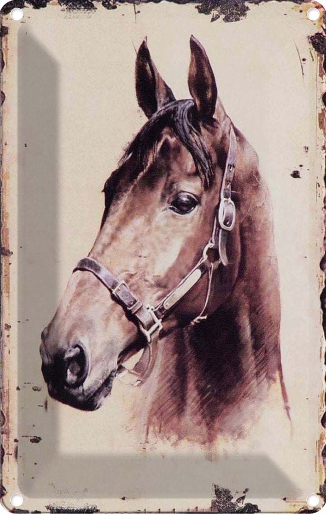 [LA-1781587] Blechschild 18x12 cm Retro Portrait Pferd Kopf Bildmotiv