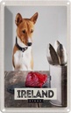 Blechschild 18x12 cm Irland Europa Steak Hund Insel Bildmotiv Reisemotiv Abenteuer Reisen Urlaub
