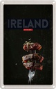 Blechschild 18x12 cm Irland Fleisch Steak Gabel Bildmotiv Reisemotiv Abenteuer Reisen Urlaub