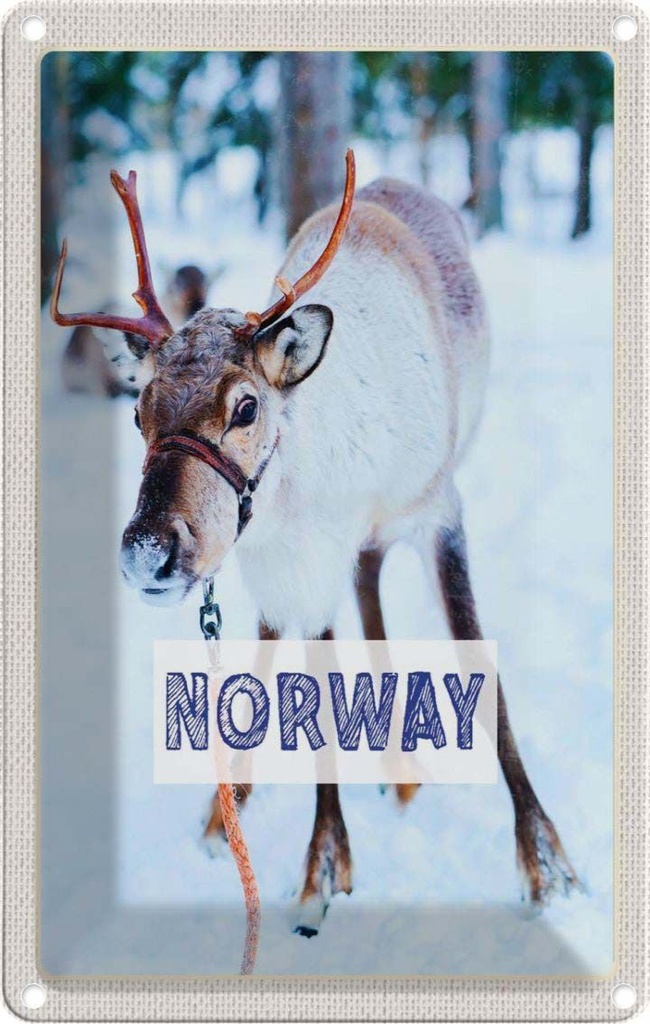 [LA-1782413] Blechschild 18x12 cm Norwegen Hirsch Winterzeit Schnee Bildmotiv Reisemotiv Abenteuer Reisen Urlaub