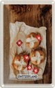 Blechschild 18x12 cm Schweiz Gerichte Laugen-knoten Bildmotiv Reisemotiv Abenteuer Reisen Urlaub