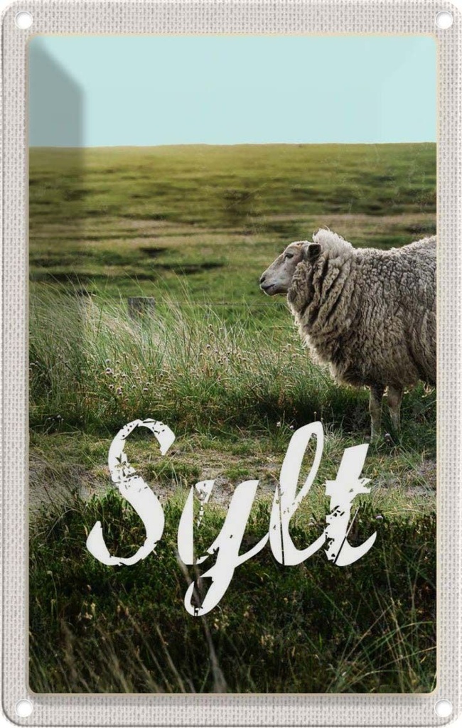 [LA-1782487] Blechschild 18x12 cm Sylt InselWiese Schaf Bildmotiv Reisemotiv Abenteuer Reisen Urlaub