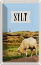 Blechschild 18x12 cm Sylt Stadtsziel Wiese Bildmotiv Reisemotiv Abenteuer Reisen Urlaub