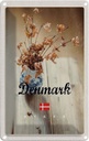 Blechschild 18x12 cm Dänemark verwelkte Blumen in Vase Bildmotiv Reisemotiv Abenteuer Reisen Urlaub