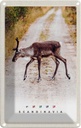 Blechschild 18x12 cm Skandinavien HirschWeg Bildmotiv Reisemotiv Abenteuer Reisen Urlaub