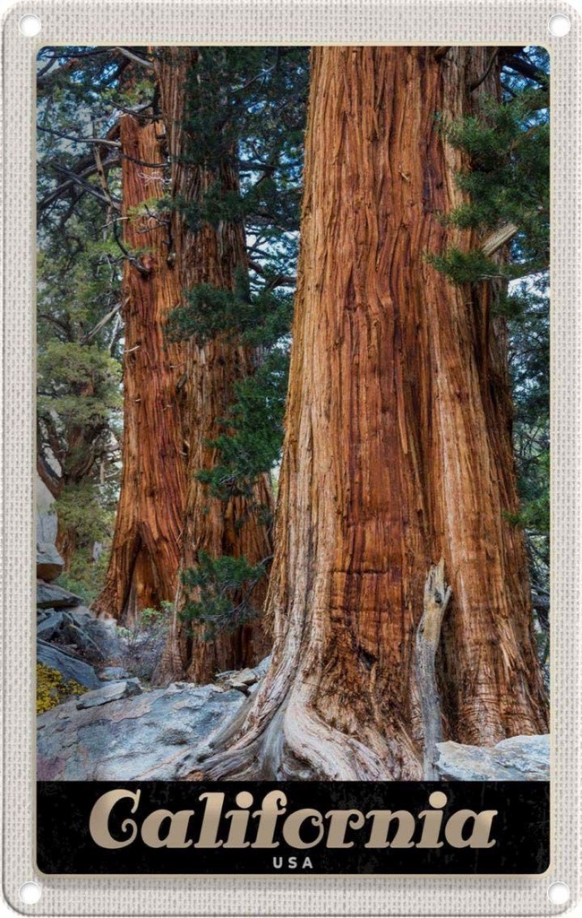 [LA-1782882] Blechschild 18x12 cm California AmerikaWald Bäume Bildmotiv Reisemotiv Abenteuer Reisen Amerika USA Urlaub