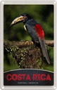 Blechschild 18x12 cm Costa Rica Central America Vogel Bildmotiv Reisemotiv Abenteuer Reisen Urlaub