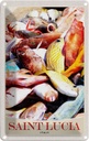 Blechschild 18x12 cm Saint Lucia Italien Europa Fische Bildmotiv Reisemotiv Abenteuer Reisen Urlaub