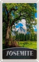 Blechschild 18x12 cm Yosemite Amerika Bäume Bildmotiv Reisemotiv Abenteuer Reisen USA Urlaub