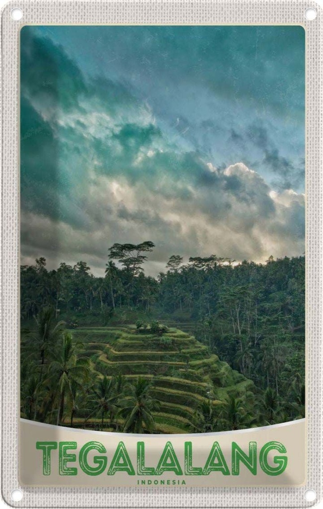 Blechschild 18x12 cm Tegalalang Indonesien Asien Tropen Bildmotiv Reisemotiv Abenteuer Reisen Urlaub