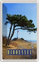 Blechschild 18x12 cm Hiddensee Leuchtturm Baum Weide Wiese Bildmotiv Reisemotiv Abenteuer Reisen Urlaub