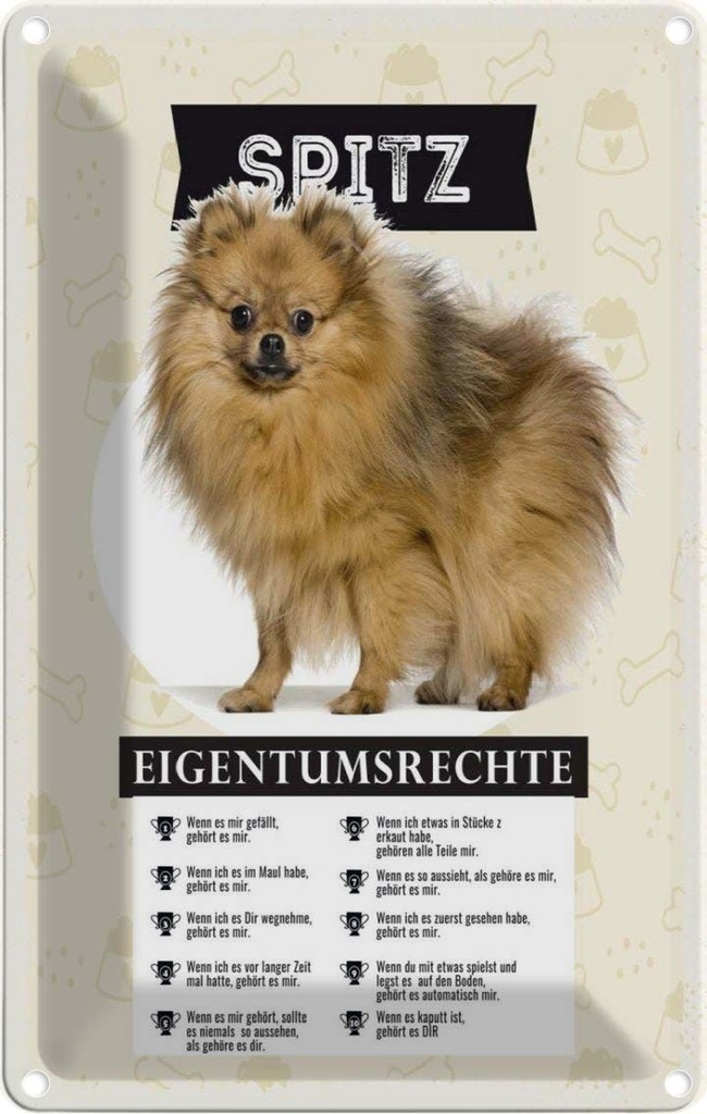 [LA-1783429] Blechschild 18x12 cm Spitz Eigentumsrechte Spruch Zitat