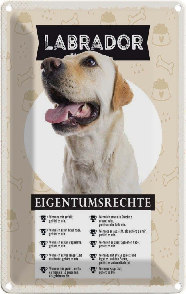 [LA-1783431] Blechschild 18x12 cm Labrador Eigentumsrechte Hund