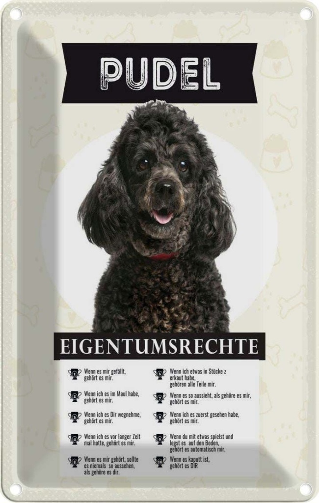 [LA-1783434] Blechschild 18x12 cm Pudel Eigentumsrechte Hund