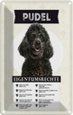 Blechschild 18x12 cm Pudel Eigentumsrechte Hund