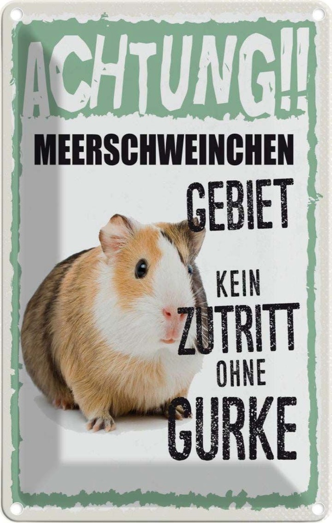 [LA-1783435] Blechschild 18x12 cm Tiere Achtung Meerschweinchen Tier Haustier