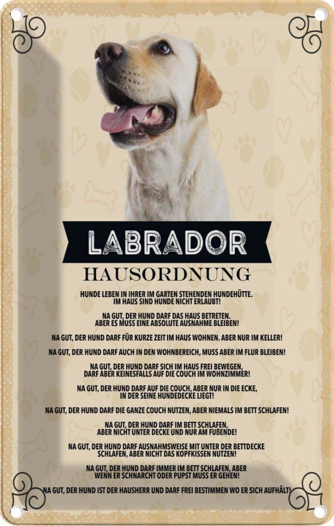 [LA-1783442] Blechschild 18x12 cm Tiere Labrador Hausordnung Hunde Hund