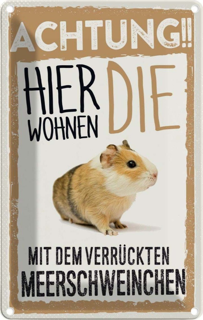 [LA-1783446] Blechschild 18x12 cm Tiere Achtung hier Meerschweinchen Tier Haustier