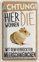Blechschild 18x12 cm Tiere Achtung hier Meerschweinchen Tier Haustier