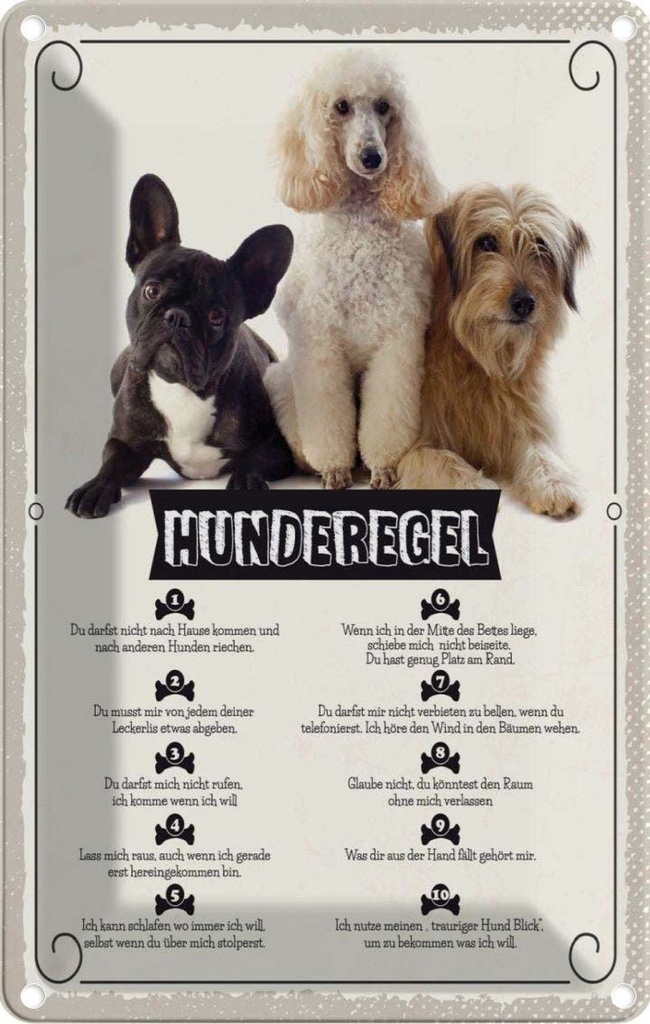 [LA-1783448] Blechschild 18x12 cm Hunderegel schlafen wo ich will Hund