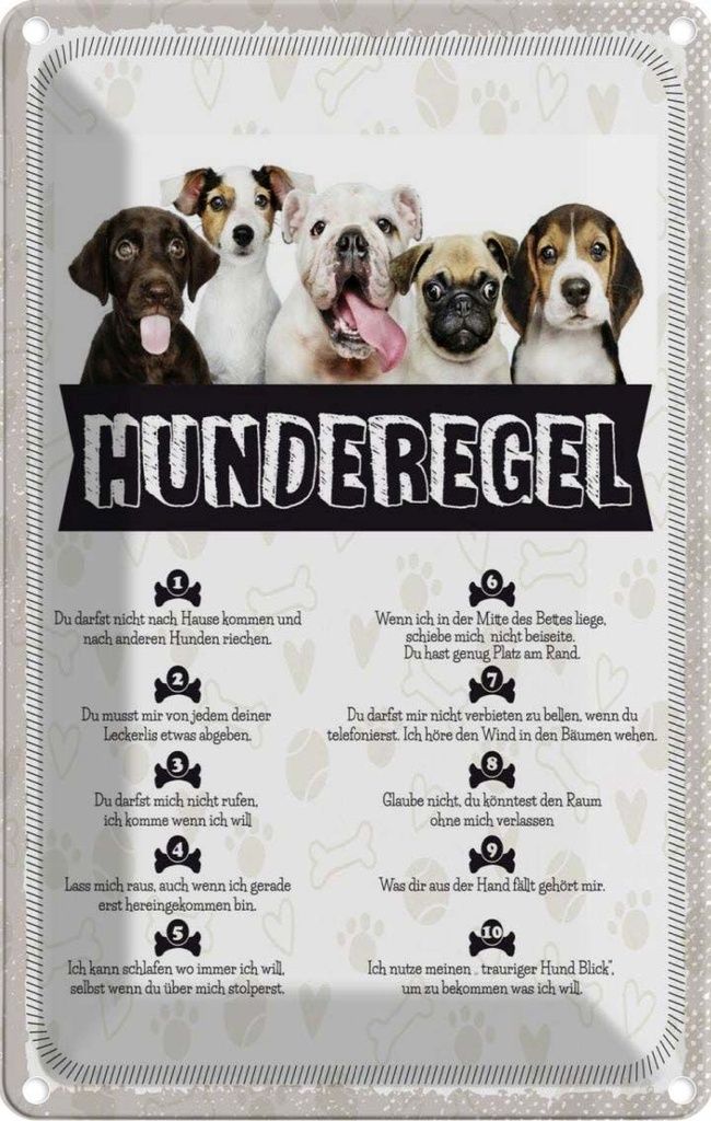 [LA-1783449] Blechschild 18x12 cm Hunderegel lass mich raus Hund
