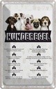 Blechschild 18x12 cm Hunderegel lass mich raus Hund
