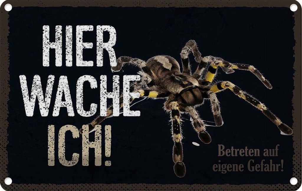 [LA-1783462] Blechschild 12x18 cm Spinne hier wache ich eigene Gefahr Spruch Zitat