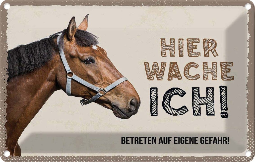 [LA-1783468] Blechschild 12x18 cm Pferd hier wache ich eigene Gefahr