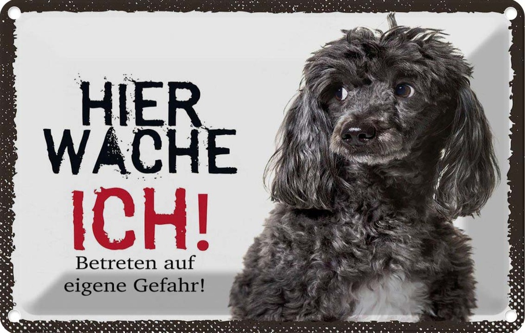[LA-1783472] Blechschild 12x18 cm Pudel hier wache ich eigene Gefahr Hund