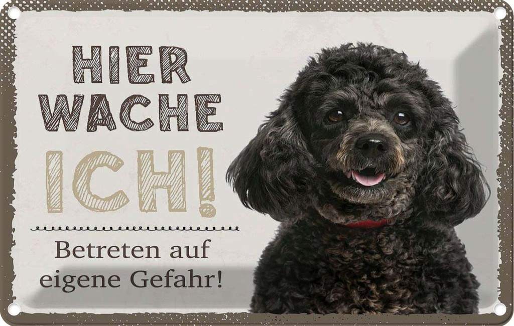 [LA-1783473] Blechschild 12x18 cm Pudel hier wache eigene Gefahr Hund