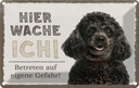 Blechschild 12x18 cm Pudel hier wache eigene Gefahr Hund